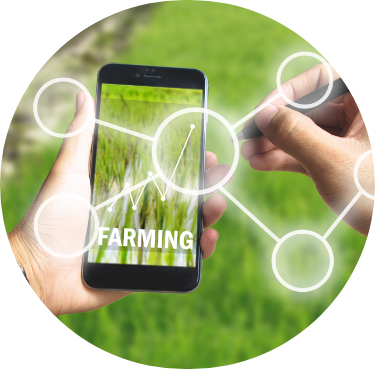 Digitalization in Agriculture