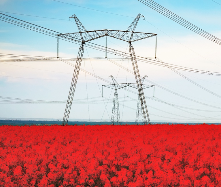 data modernization for sustainable power grids