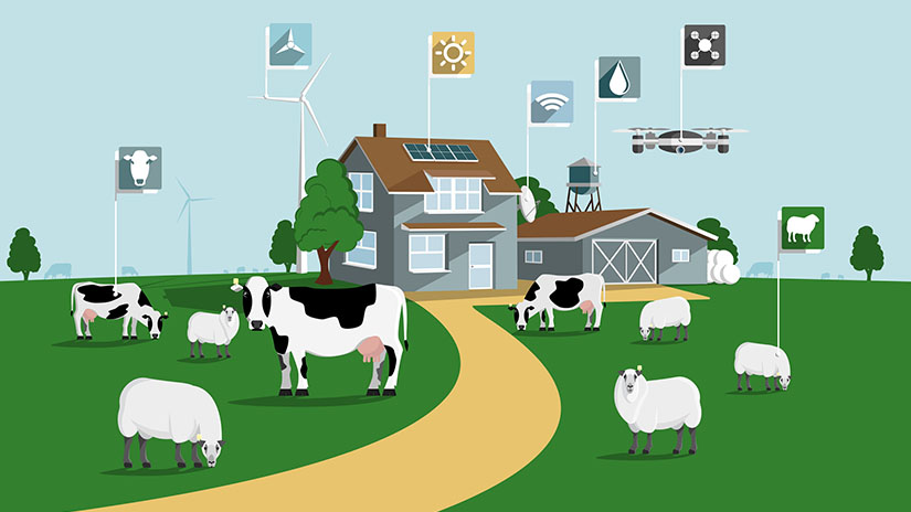 IoT-enabled drones and sensors used in farming and agriculture