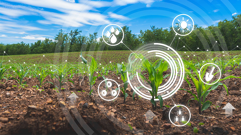 Smart Farming : Internet of Living Things Helps Put Food on the Table