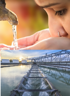 Wastewater Management Solutions